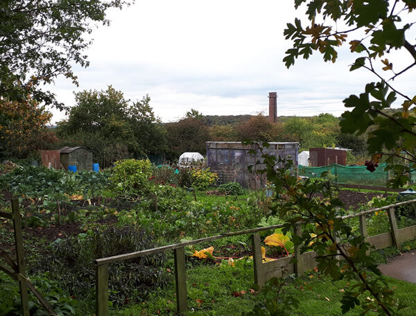 allotments
